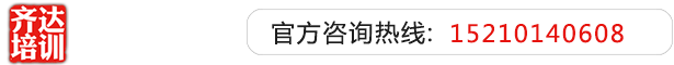 肉棒插进小穴操屄鸡巴又粗又大黄片视频齐达艺考文化课-艺术生文化课,艺术类文化课,艺考生文化课logo